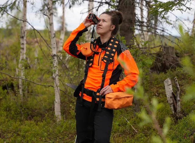 Skogstussen Sele for hoftebeltet L/XL 