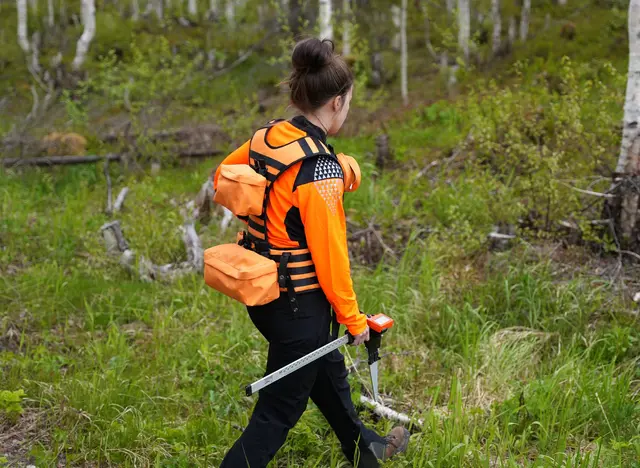 Skogstussen Ryggsele S 