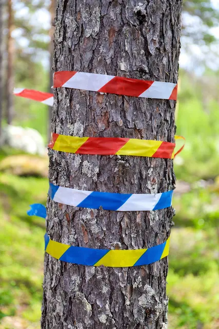 Merkebånd Sukkerrør 30mm 30mm, Blå/Hvit 