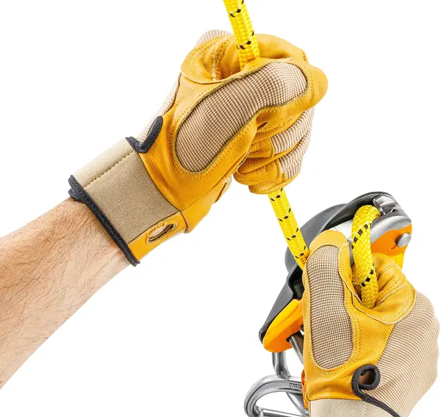 Petzl Rig Descender 