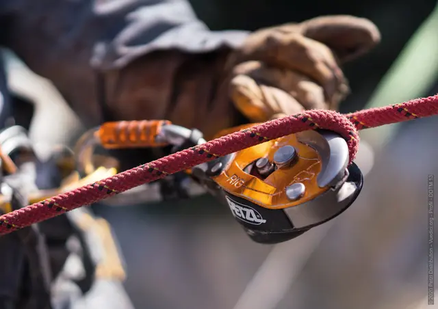 Petzl Rig Descender 