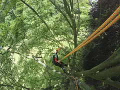 Cousin Atrax Arboristtau 1 &#248;gle &#216;11,6mm, 35m